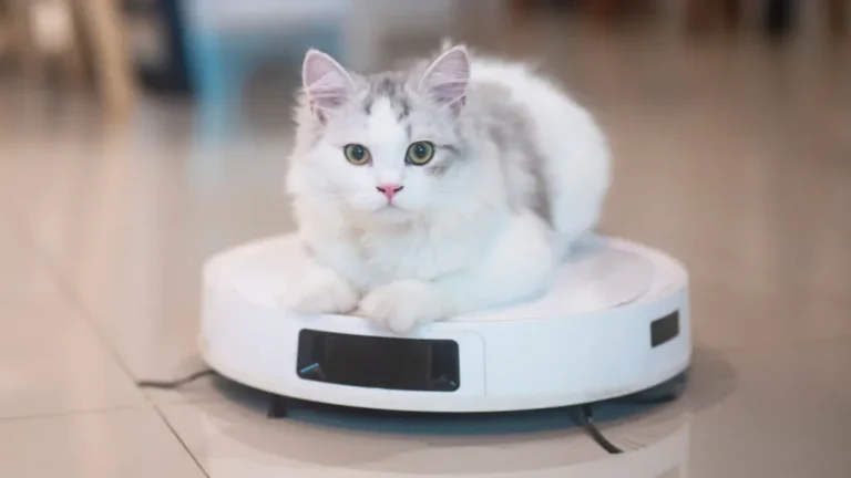 Domestic robot vacuum reimagined for new uses